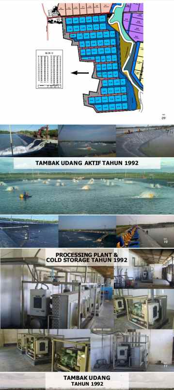 dijual tanah jl pajalele