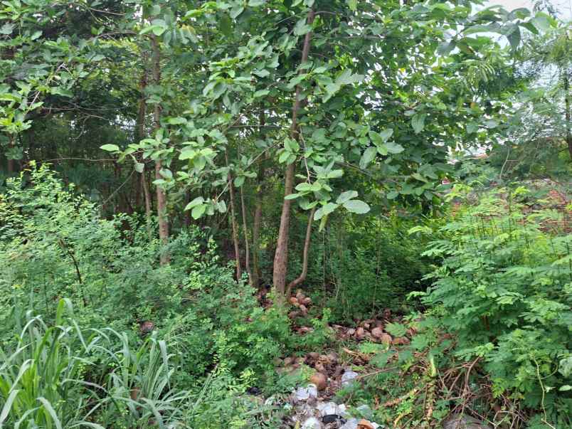 dijual tanah jl perjuangan kota bekasi