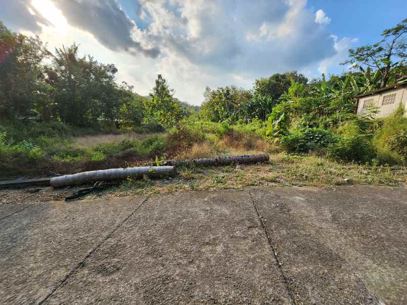 dijual tanah jl pleret giriloyo