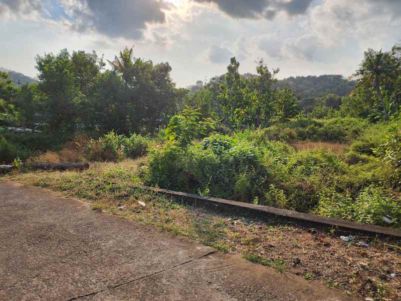 dijual tanah jl pleret giriloyo