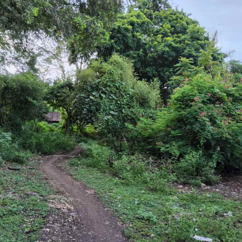 dijual tanah jl sawangan residence