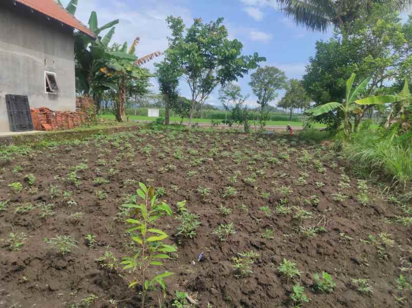 dijual tanah kavling di kec sedayu turen kab malang