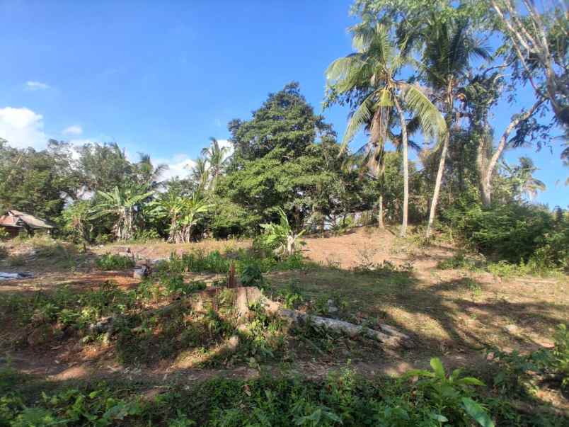dijual tanah kebun dengan view sunset yang indah