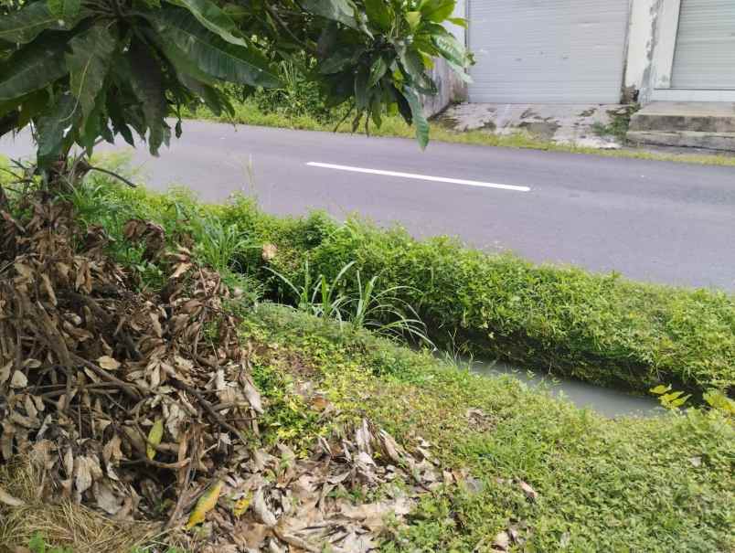 dijual tanah kelating tabanan bali