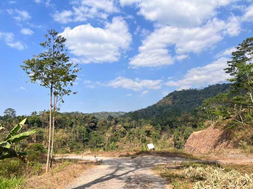 dijual tanah kemuning ngargoyoso