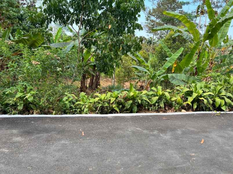 dijual tanah kemuning ngargoyoso