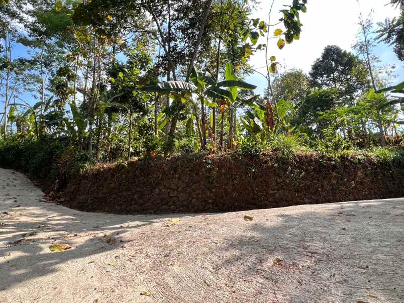 dijual tanah kemuning ngargoyoso