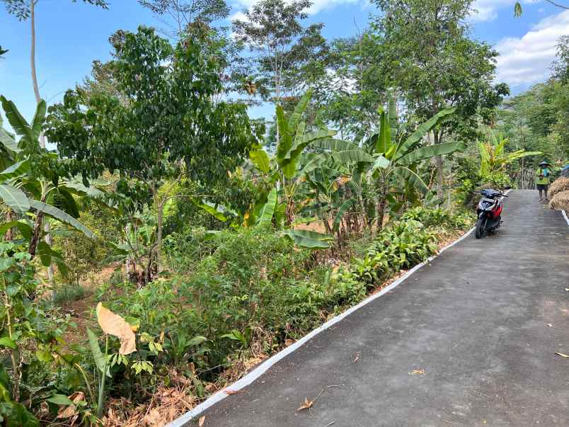 dijual tanah kemuning ngargoyoso