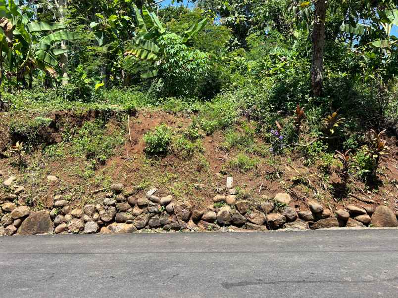 dijual tanah kerjo karanganyar