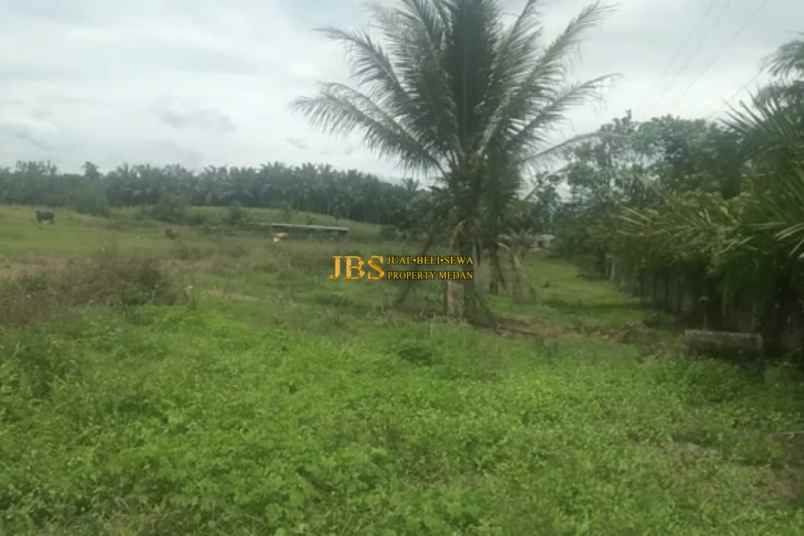 dijual tanah kosong pasar x jalan glugur rimbun