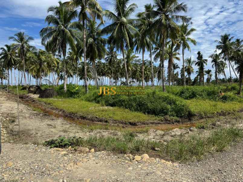 dijual tanah kota gunung sitoli jalan
