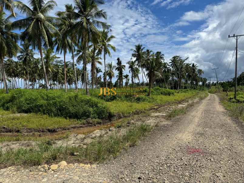 dijual tanah kota gunung sitoli jalan