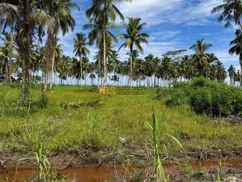 dijual tanah kota gunung sitoli jalan