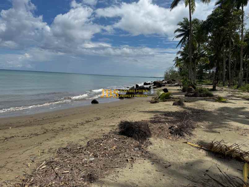 dijual tanah kota gunung sitoli jalan