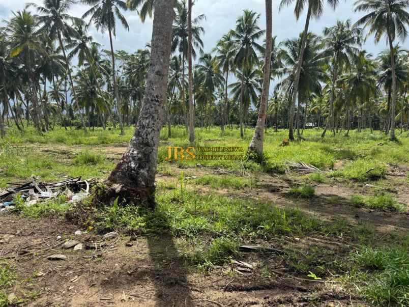 dijual tanah kota gunung sitoli jalan