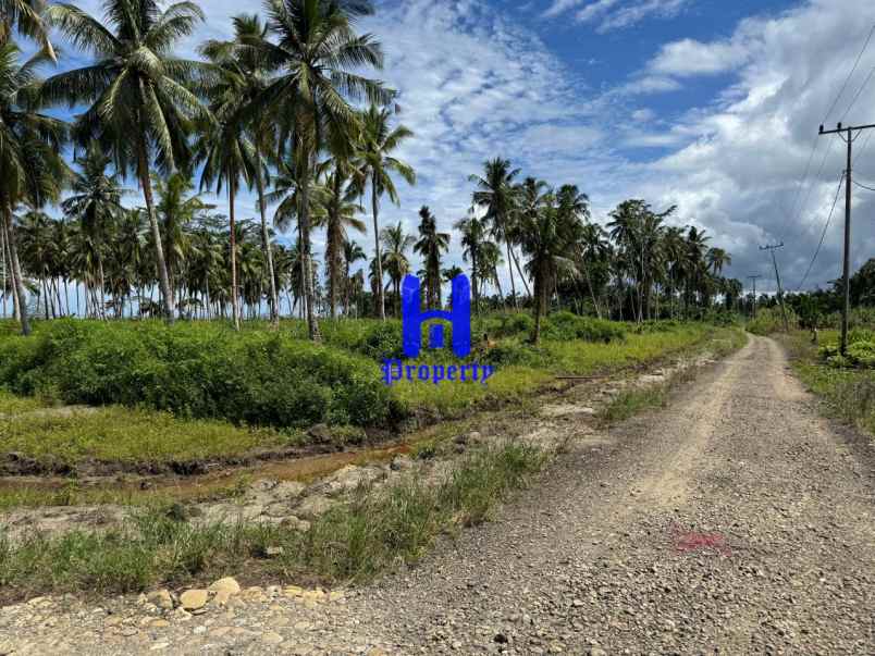 dijual tanah kota gunung sitoli jalan