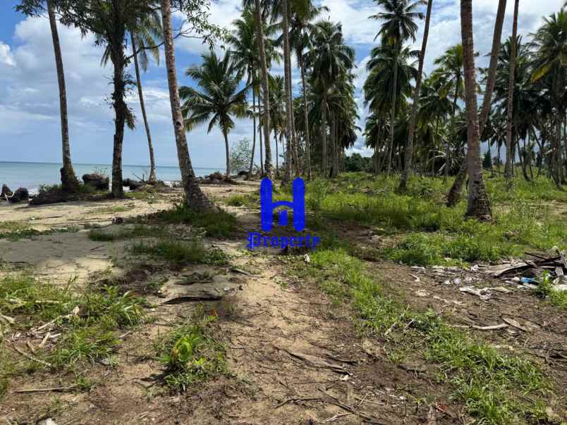 dijual tanah kota gunung sitoli jalan