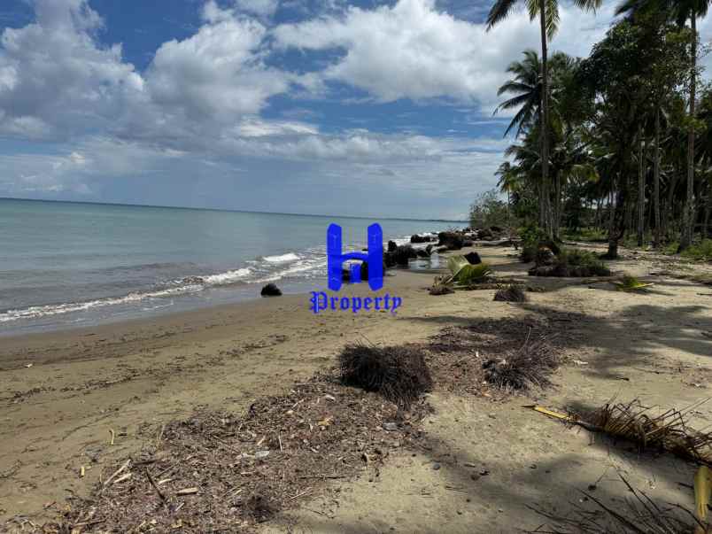 dijual tanah kota gunung sitoli jalan