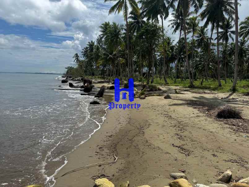 dijual tanah kota gunung sitoli jalan