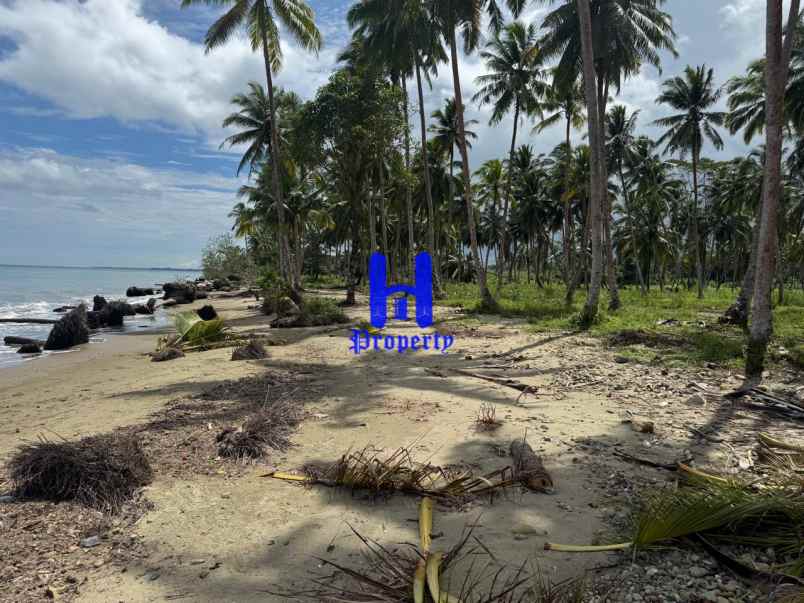 dijual tanah kota gunung sitoli jalan