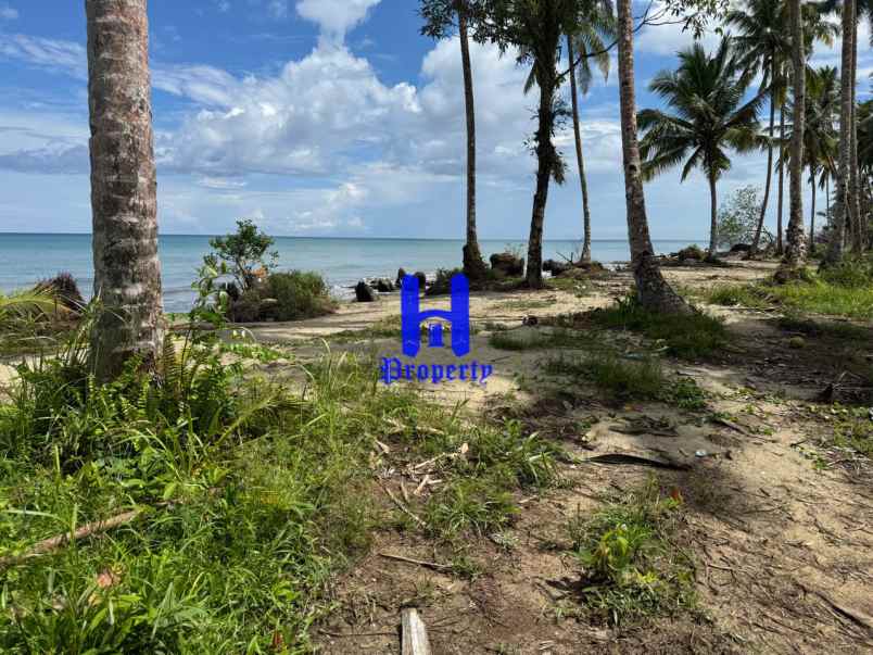 dijual tanah kota gunung sitoli jalan