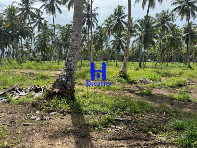 dijual tanah kota gunung sitoli jalan