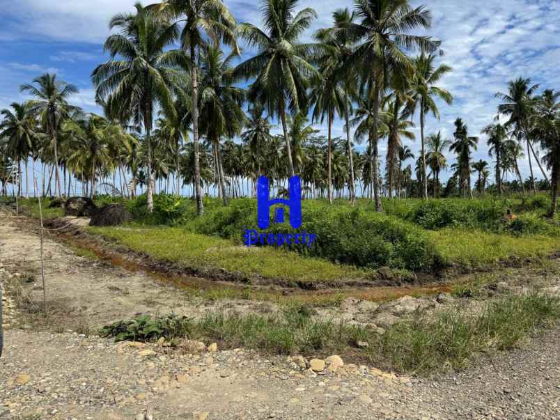 dijual tanah kota gunung sitoli jalan