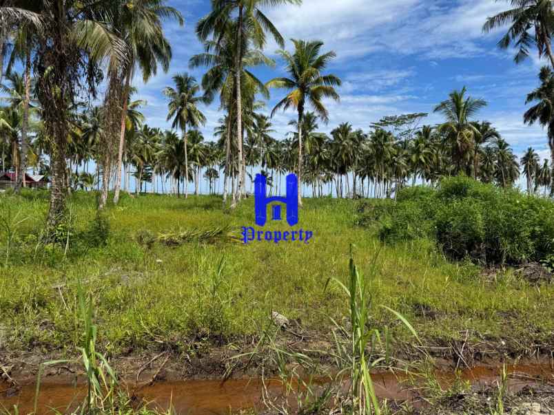 dijual tanah kota gunung sitoli jalan