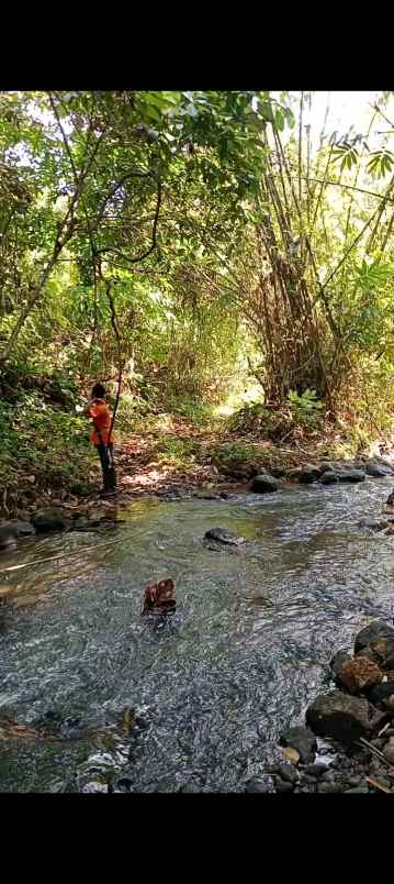 dijual tanah kp pasir bungur