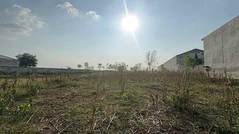 dijual tanah lahan kering luas 17044