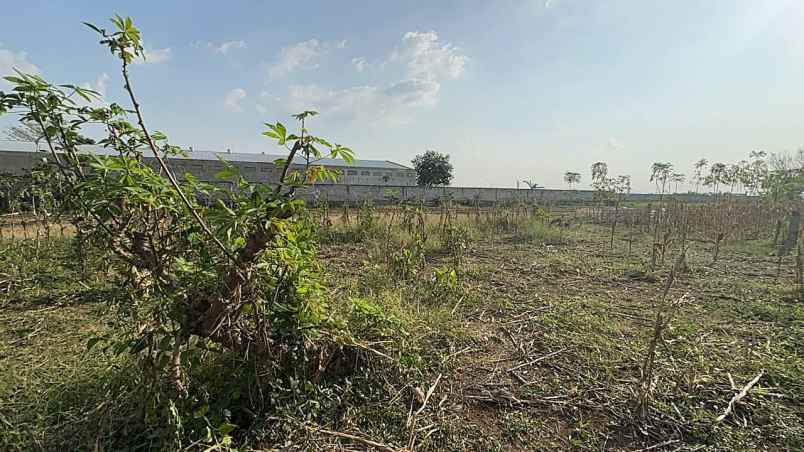 dijual tanah lahan kering luas 17044