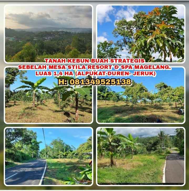 dijual tanah losari grabag magelang