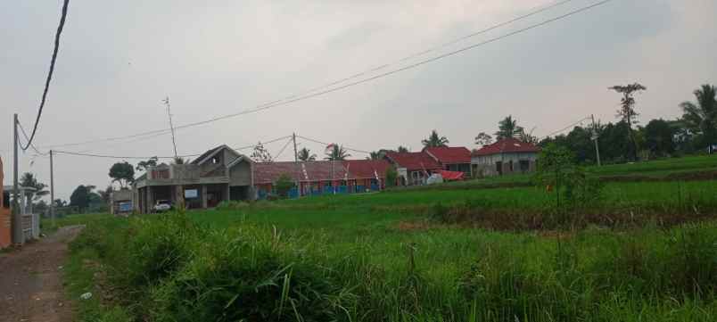 dijual tanah murah siap bangun lokasi cianjur