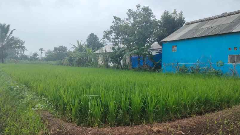 dijual tanah murah siap bangun lokasi cianjur