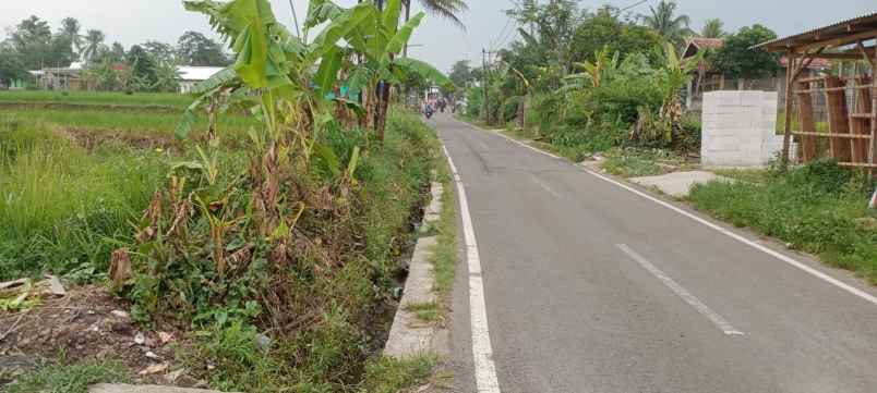 dijual tanah murah siap bangun lokasi cianjur