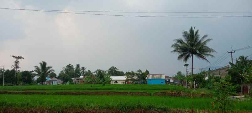 dijual tanah murah siap bangun lokasi cianjur