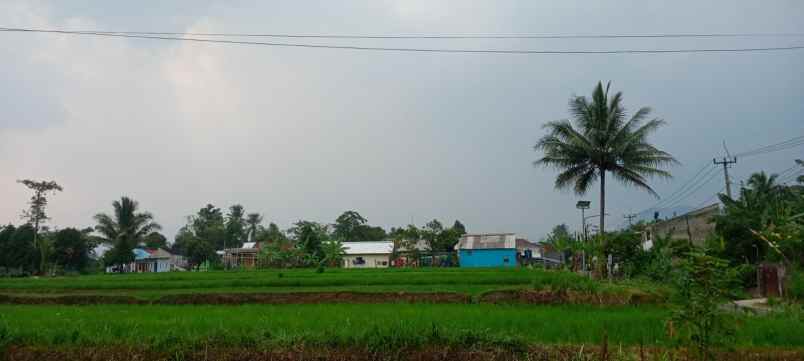 dijual tanah murah siap bangun lokasi cianjur