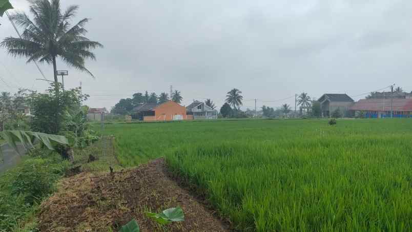 dijual tanah murah siap bangun lokasi cianjur