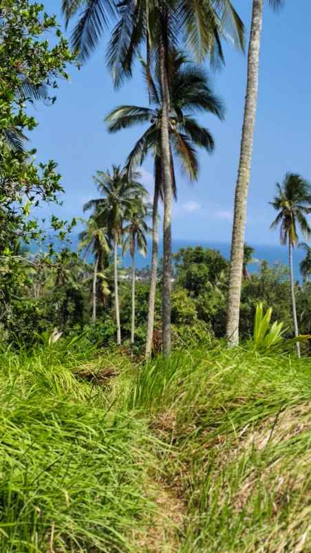 dijual tanah pantai balian selemadeg