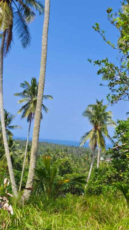 dijual tanah pantai balian selemadeg