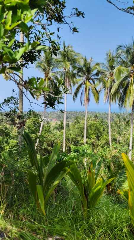 dijual tanah pantai balian selemadeg
