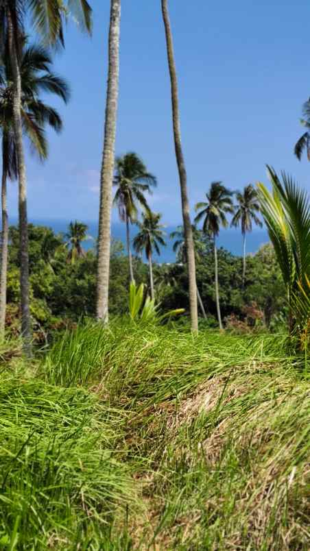 dijual tanah pantai balian selemadeg