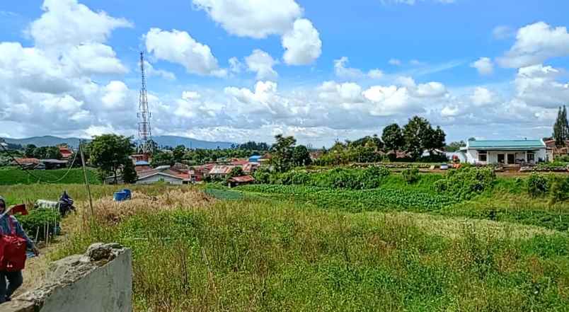 dijual tanah peceren sempajaya berastagi