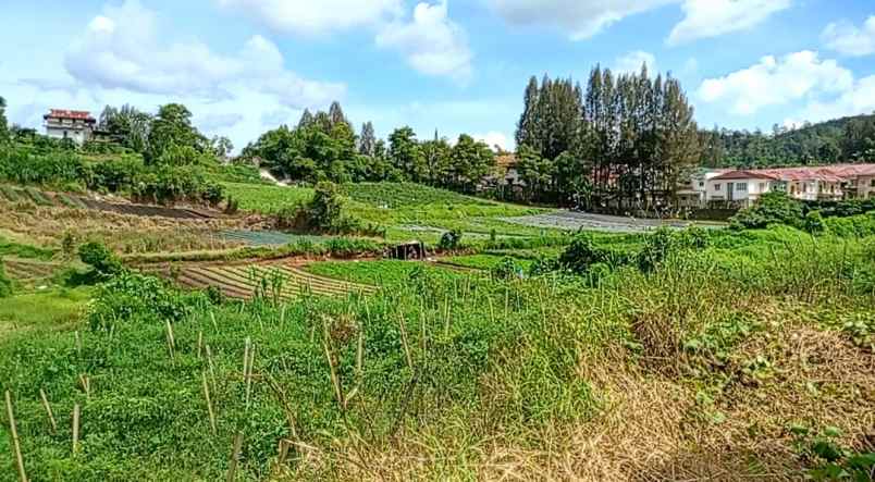 dijual tanah peceren sempajaya berastagi