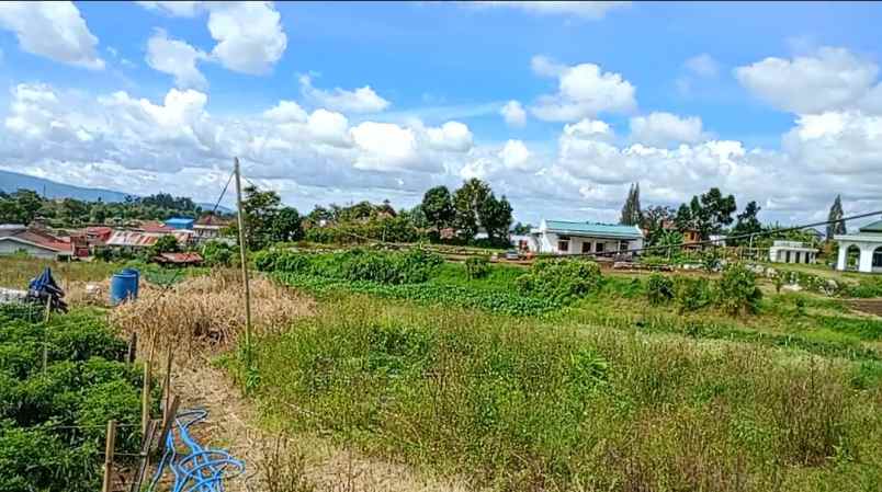 dijual tanah peceren sempajaya berastagi