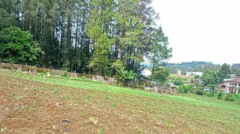 dijual tanah peceren sempajaya berastagi
