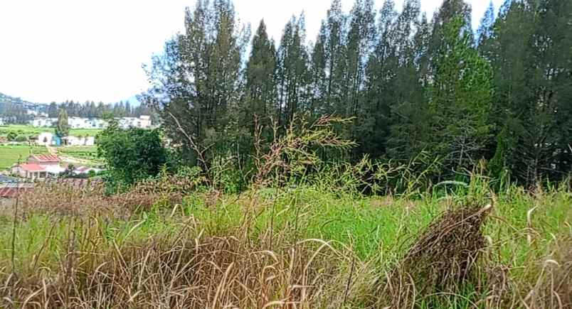dijual tanah peceren sempajaya berastagi
