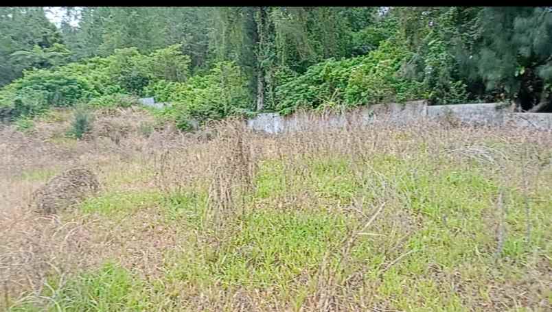 dijual tanah peceren sempajaya berastagi
