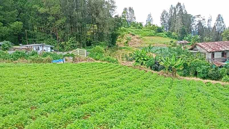 dijual tanah peceren sempajaya berastagi