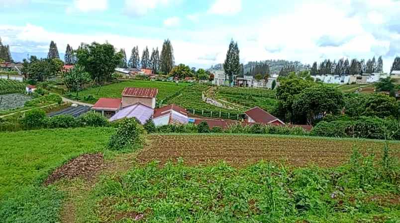 dijual tanah peceren sempajaya berastagi